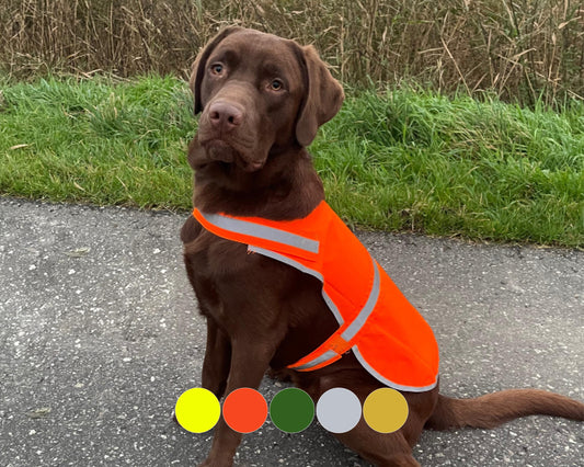 Hundeweste / Hunde Warnweste / Sicherheitsweste reflektierend / gelb, orange, grün, silber, gold